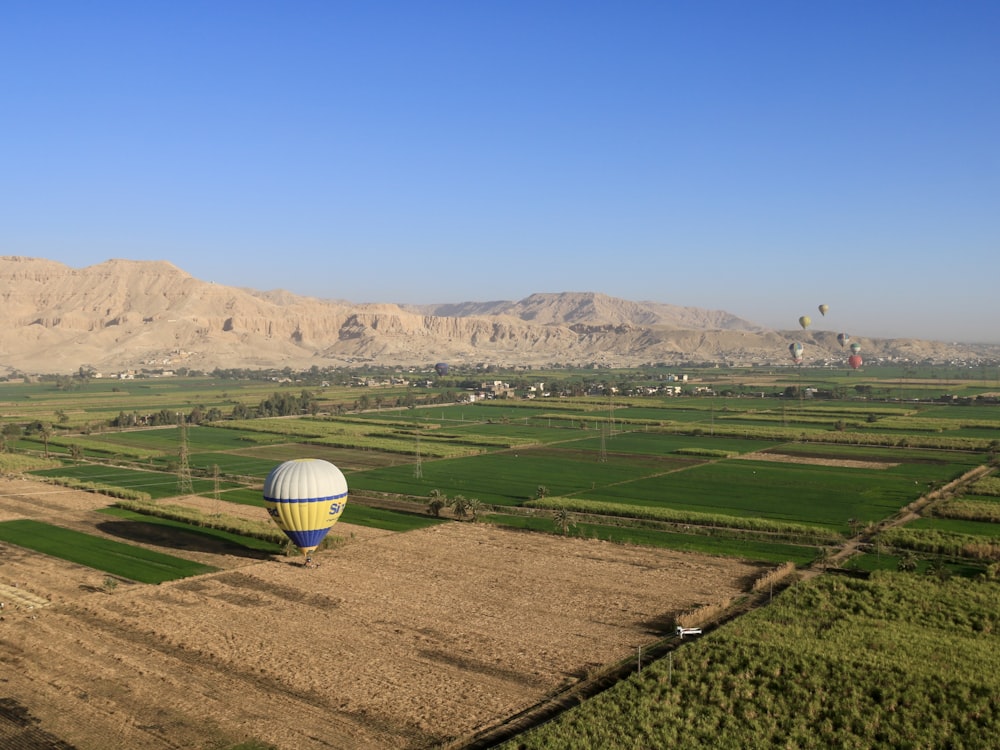 un globo aerostático volando sobre un exuberante campo verde