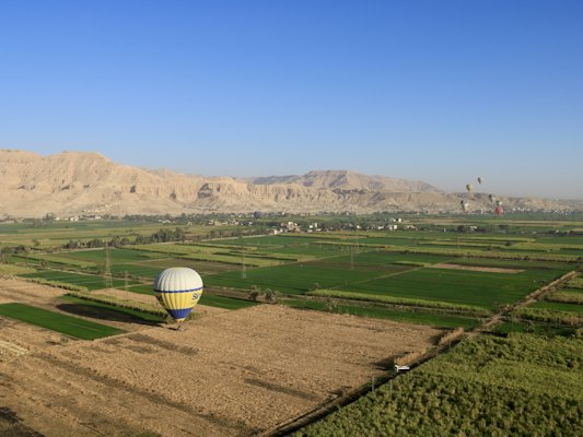 A hot air balloon flying over a lush green field — Luxor, Egypt