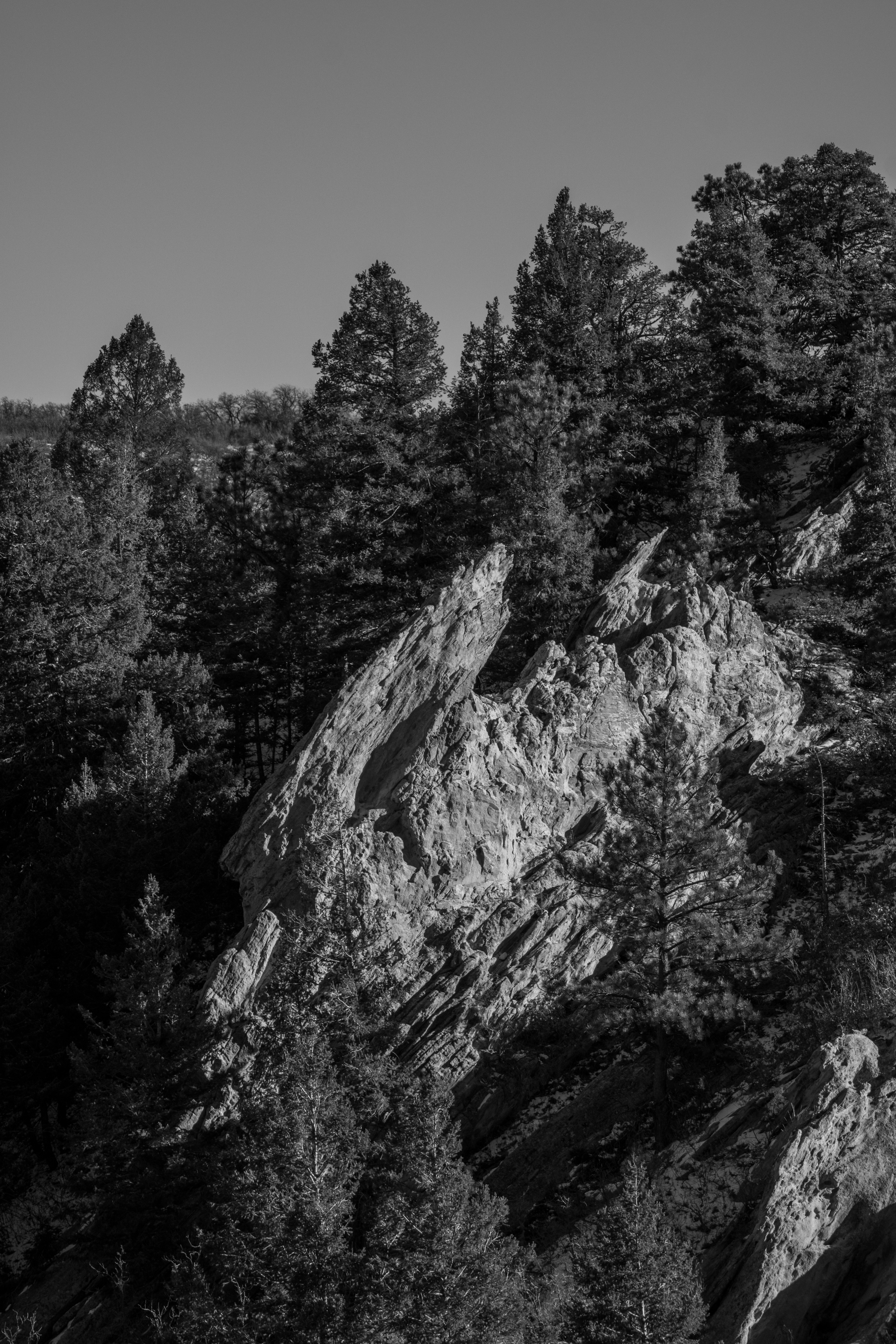 Photo by padraigoflannery