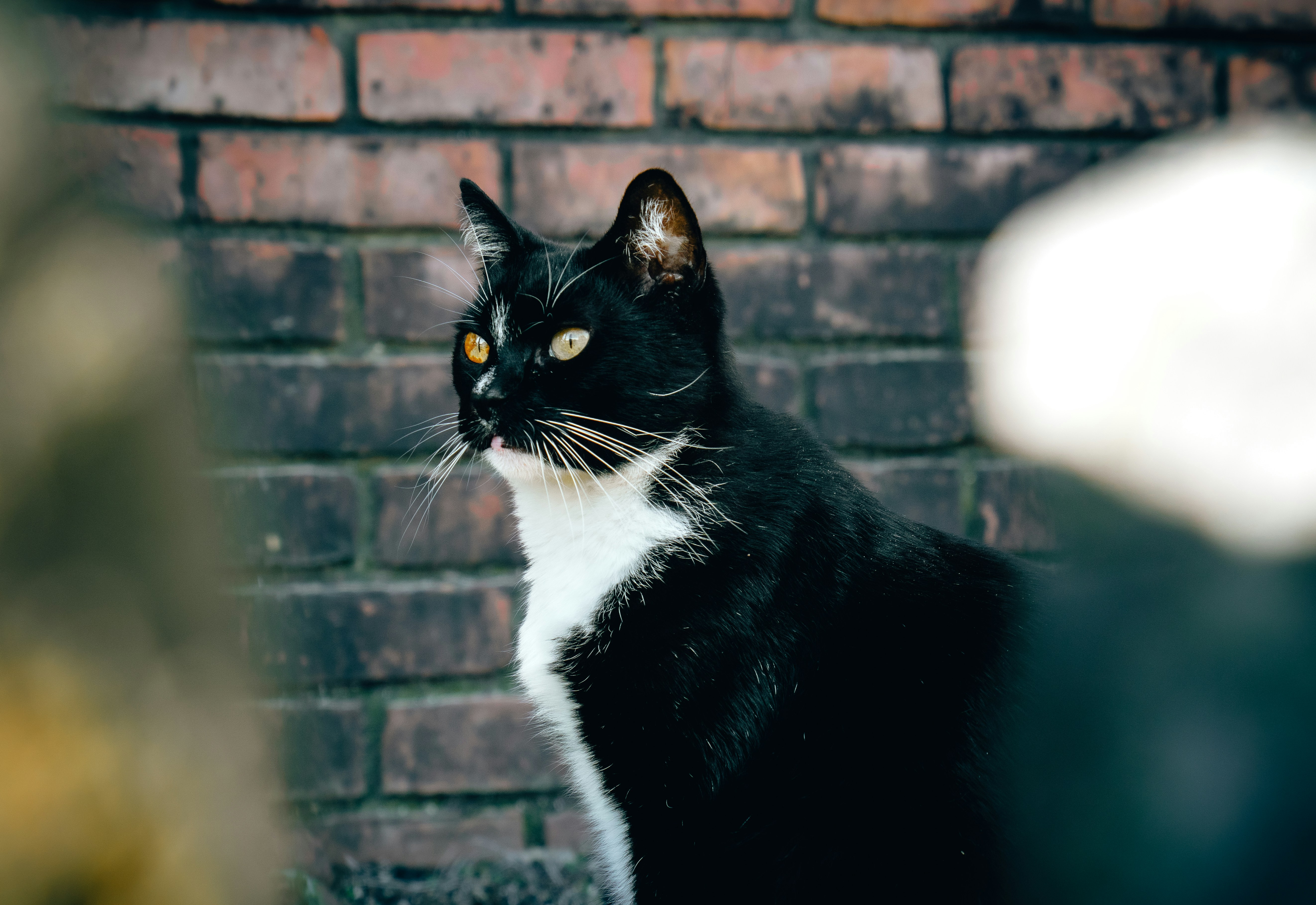 Photo by tomatopictures1