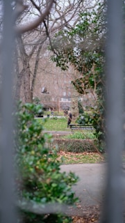 A view of a park area protected by pigeon nets.