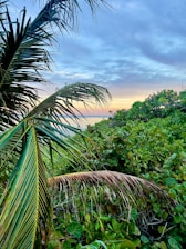 A vibrant tropical landscape at sunrise with lush greenery and warm sunlight illuminating a local artisan sewing fabric.