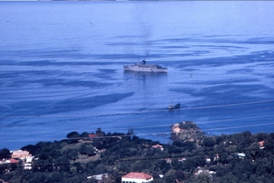 A large ship is seen in calm blue waters, emitting smoke from its smokestack. In the foreground, there is a smaller boat making its way through the water. On the shore, lush greenery and various buildings can be seen, including houses with red roofs and some white structures.