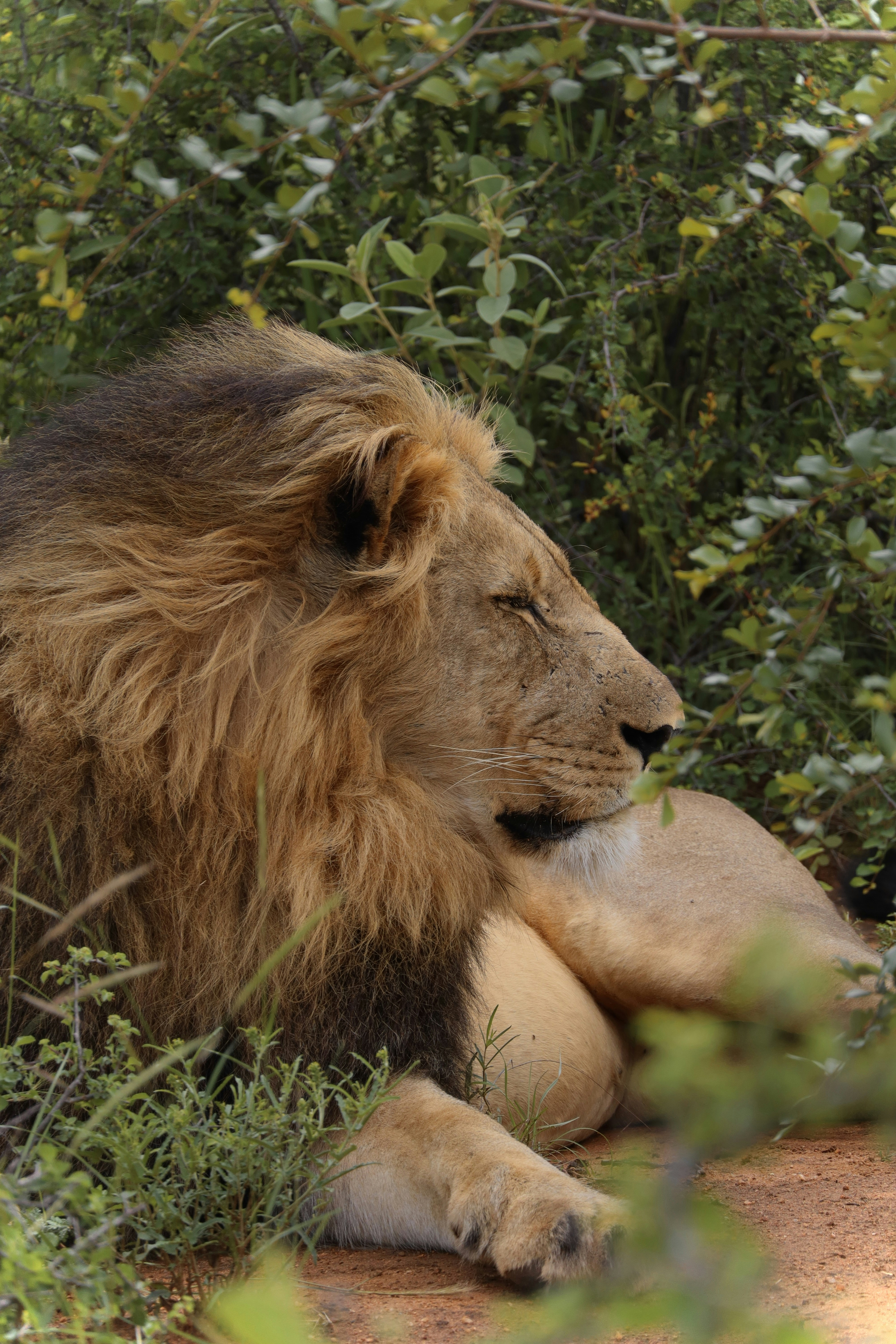 Photo by johnnygthorpe11