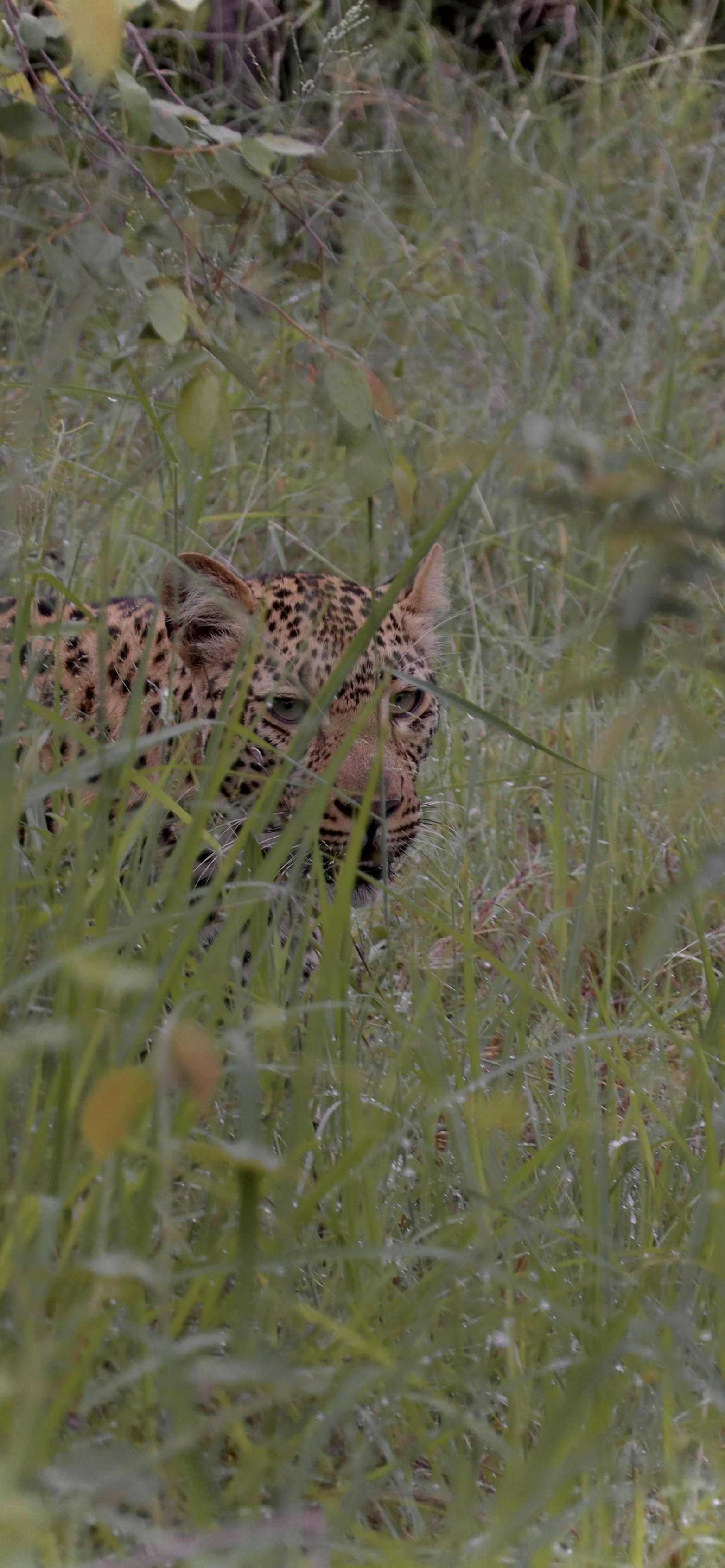 Photo by johnnygthorpe11