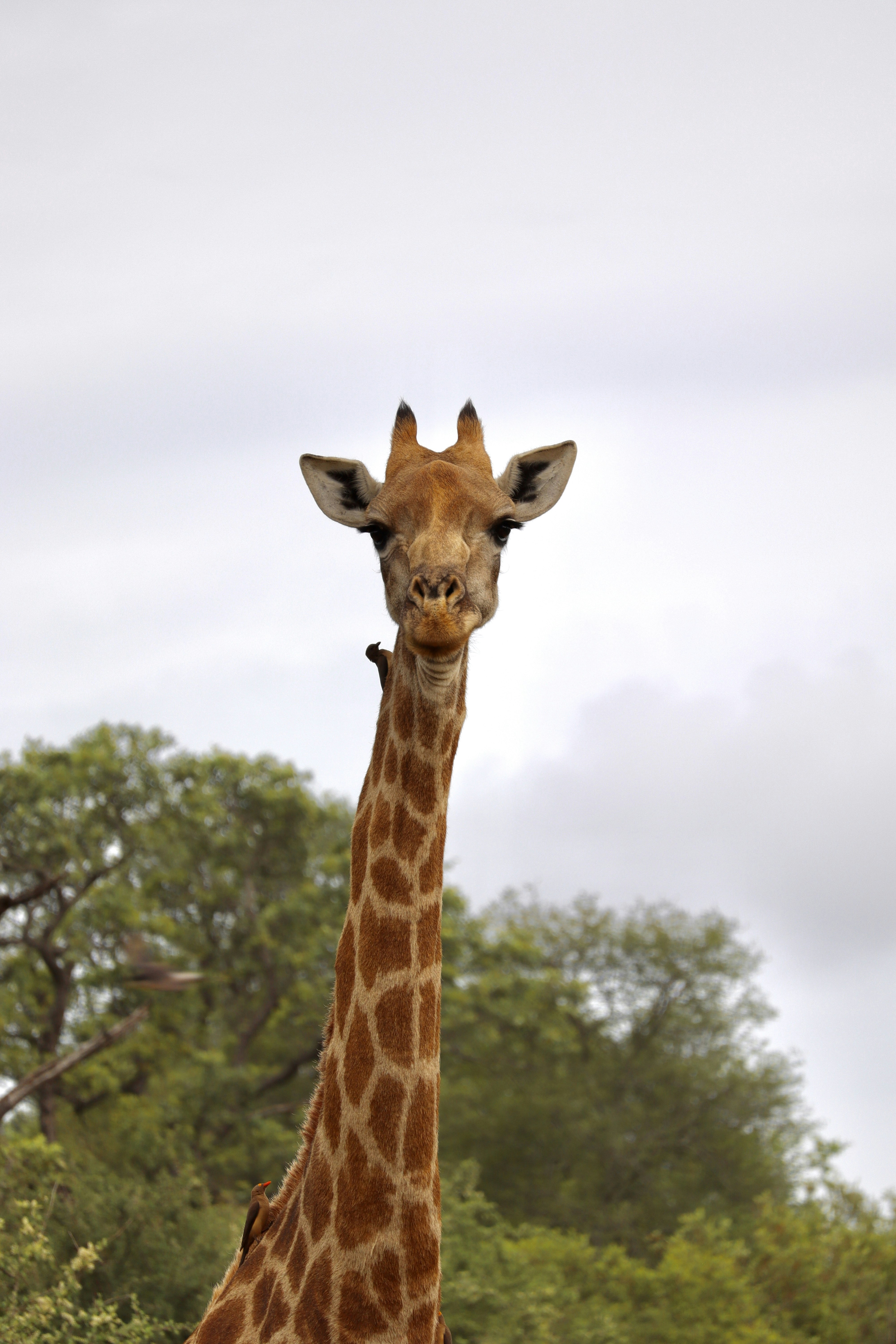 Photo by johnnygthorpe11