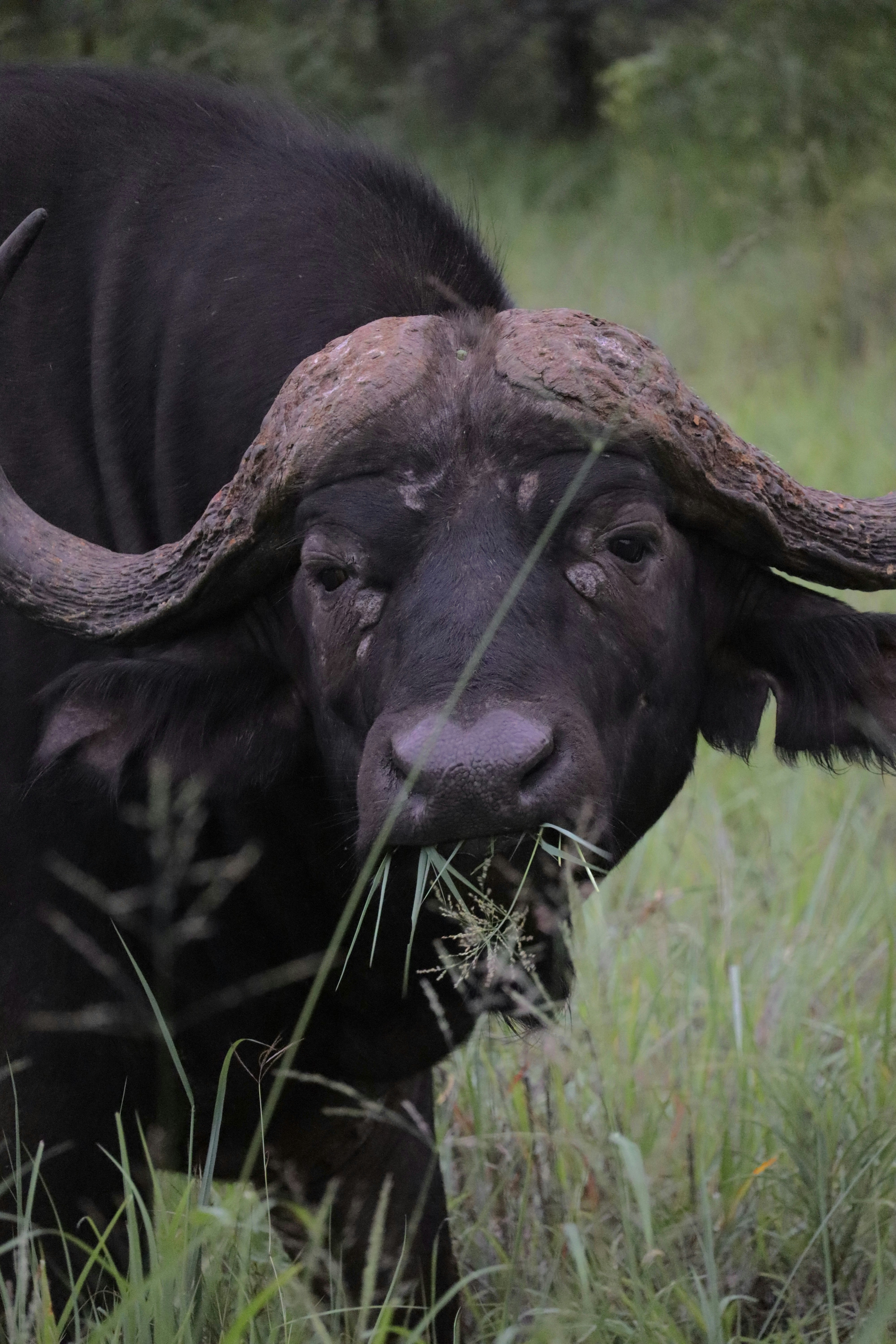 Photo by johnnygthorpe11