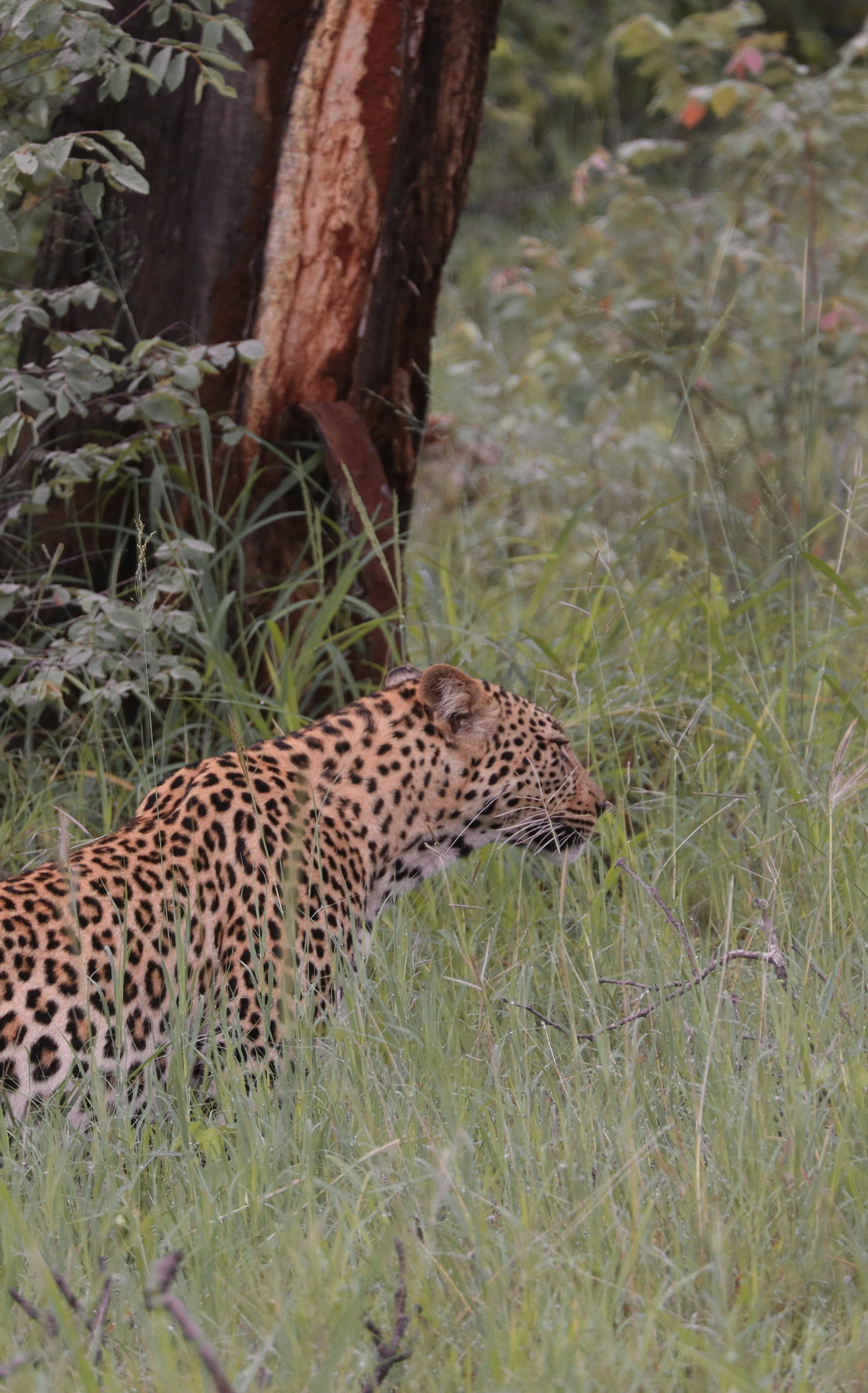 Photo by johnnygthorpe11