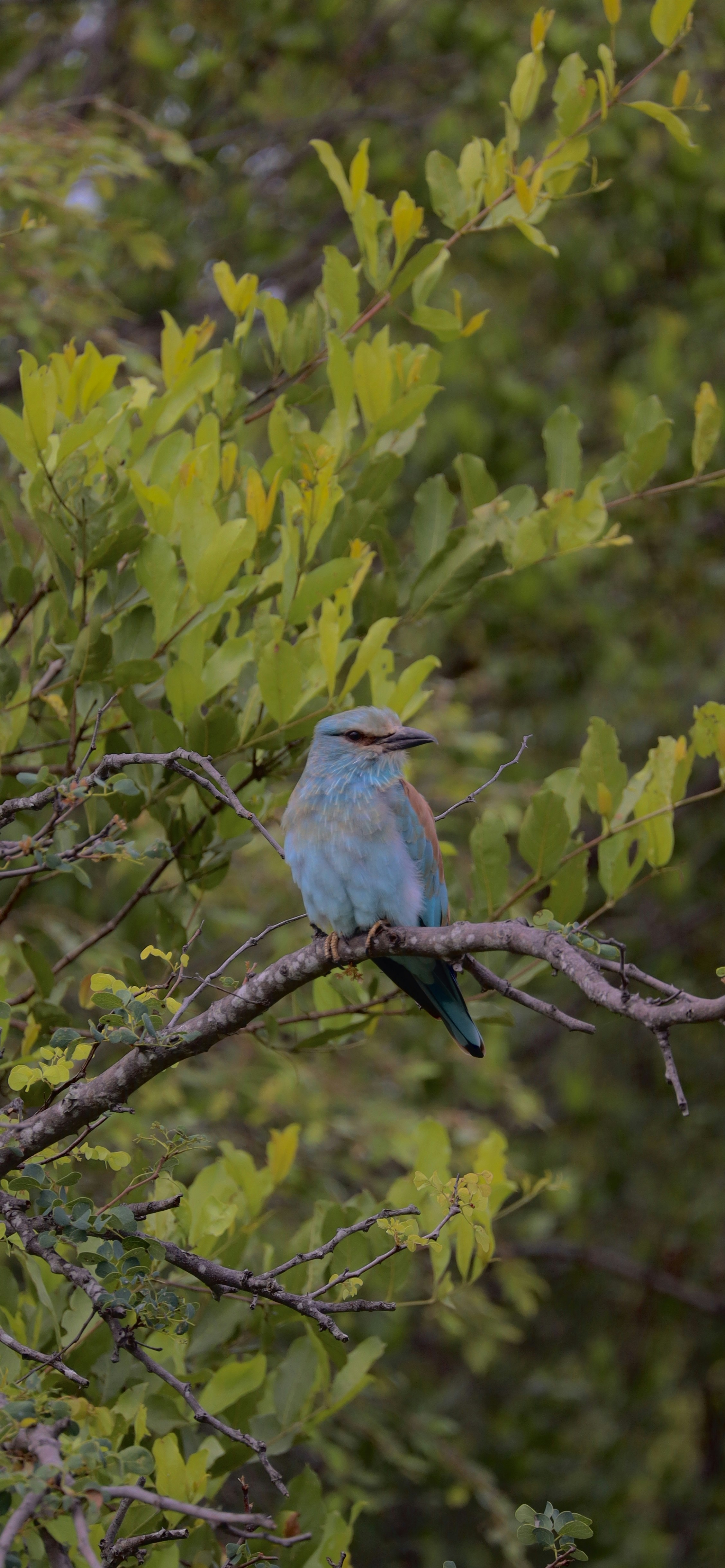 Photo by johnnygthorpe11