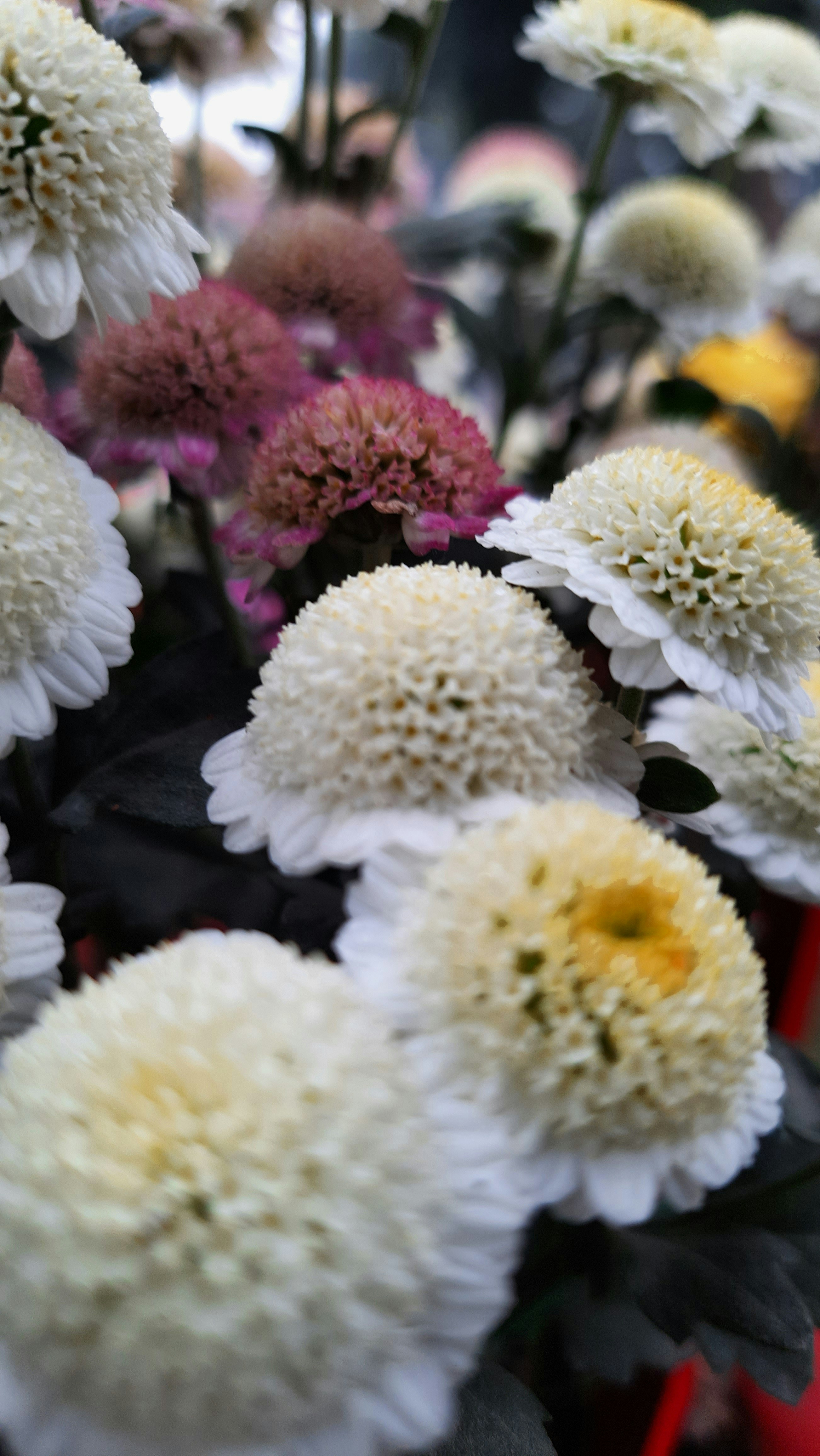 um ramo de flores brancas e amarelas em um vaso