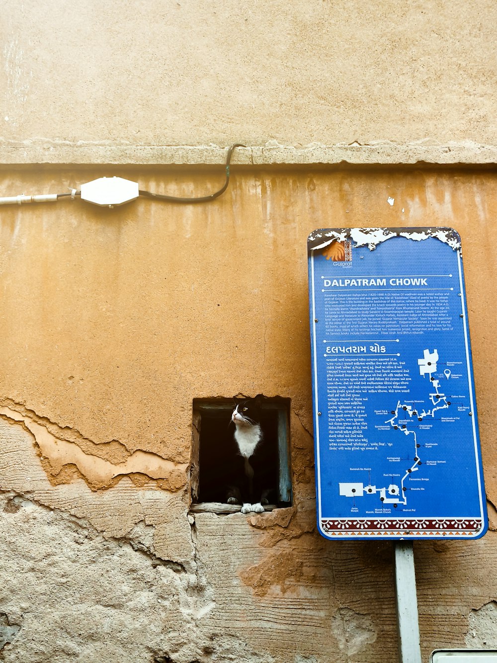 a blue sign with a black and white cat inside of it