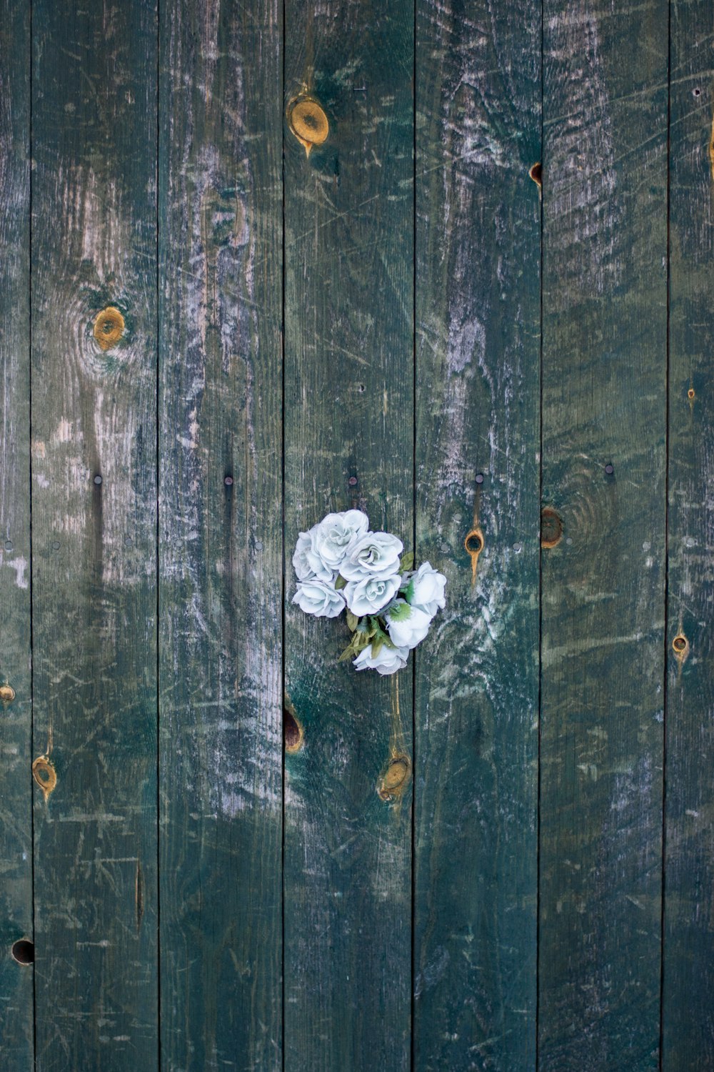 a white flower sitting on top of a wooden fence