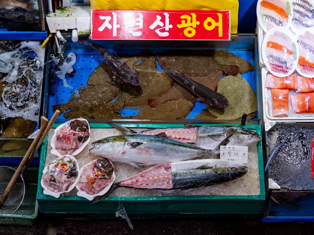 a variety of fish on display at a market