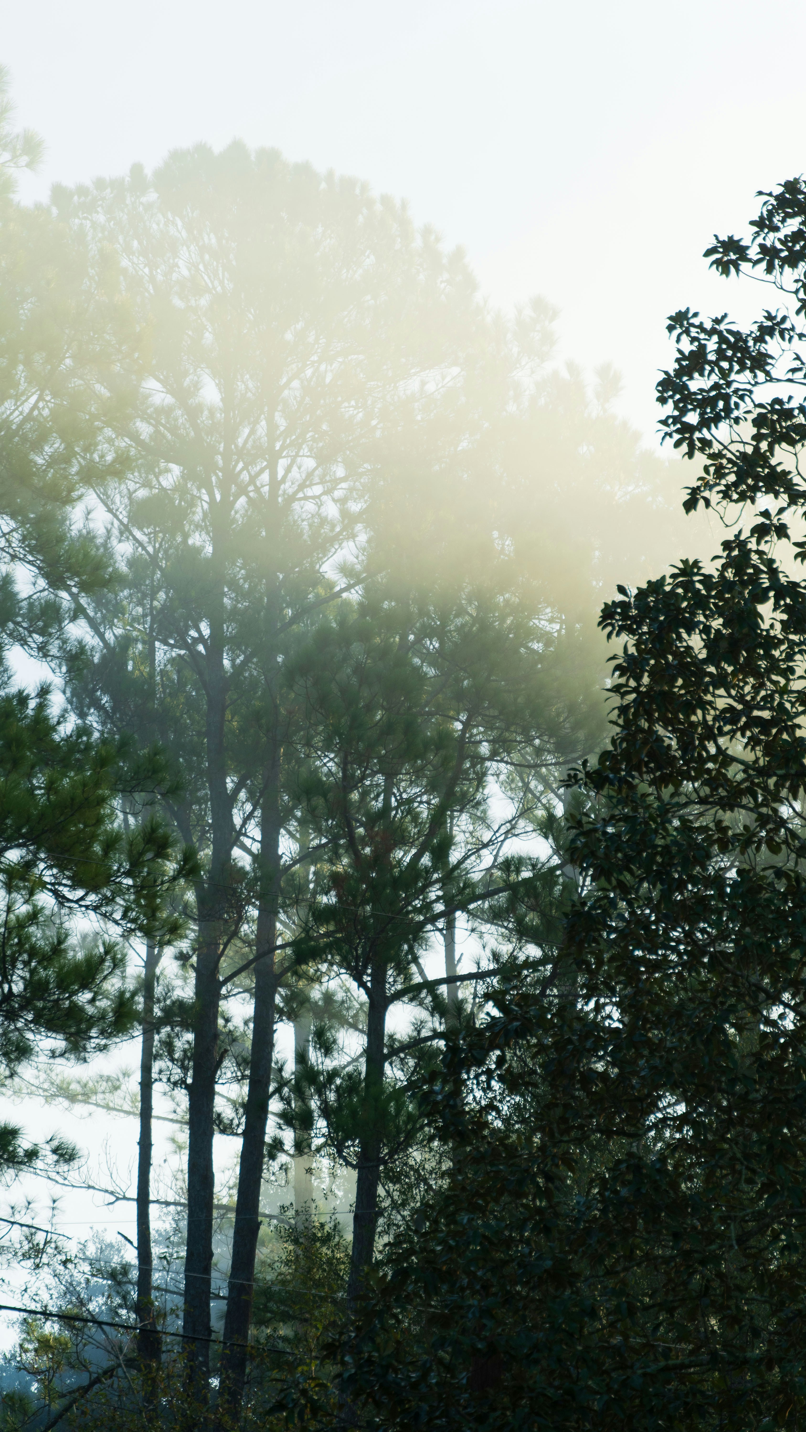 Photo by thefloridianfreak