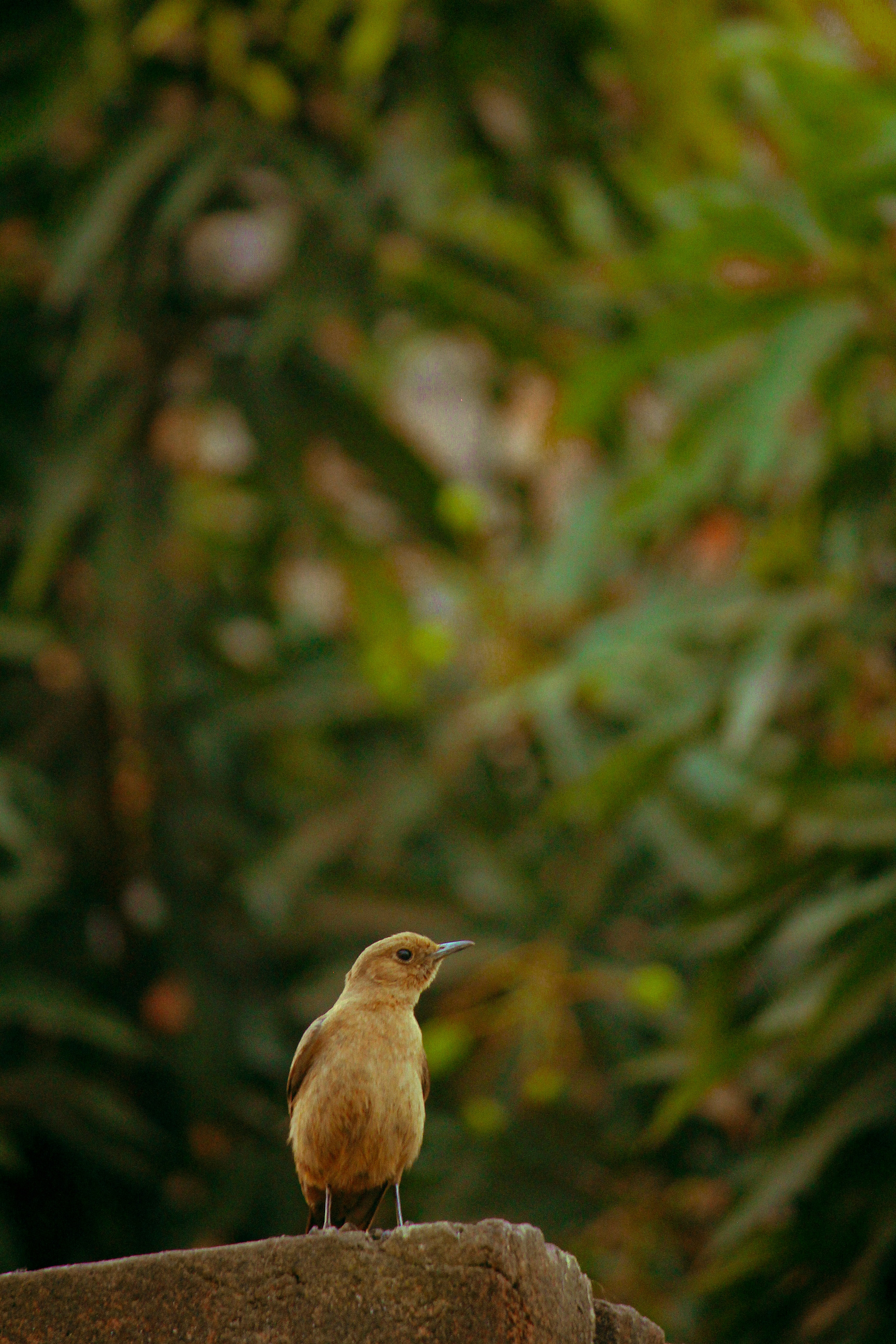 Photo by muhammad_shakir