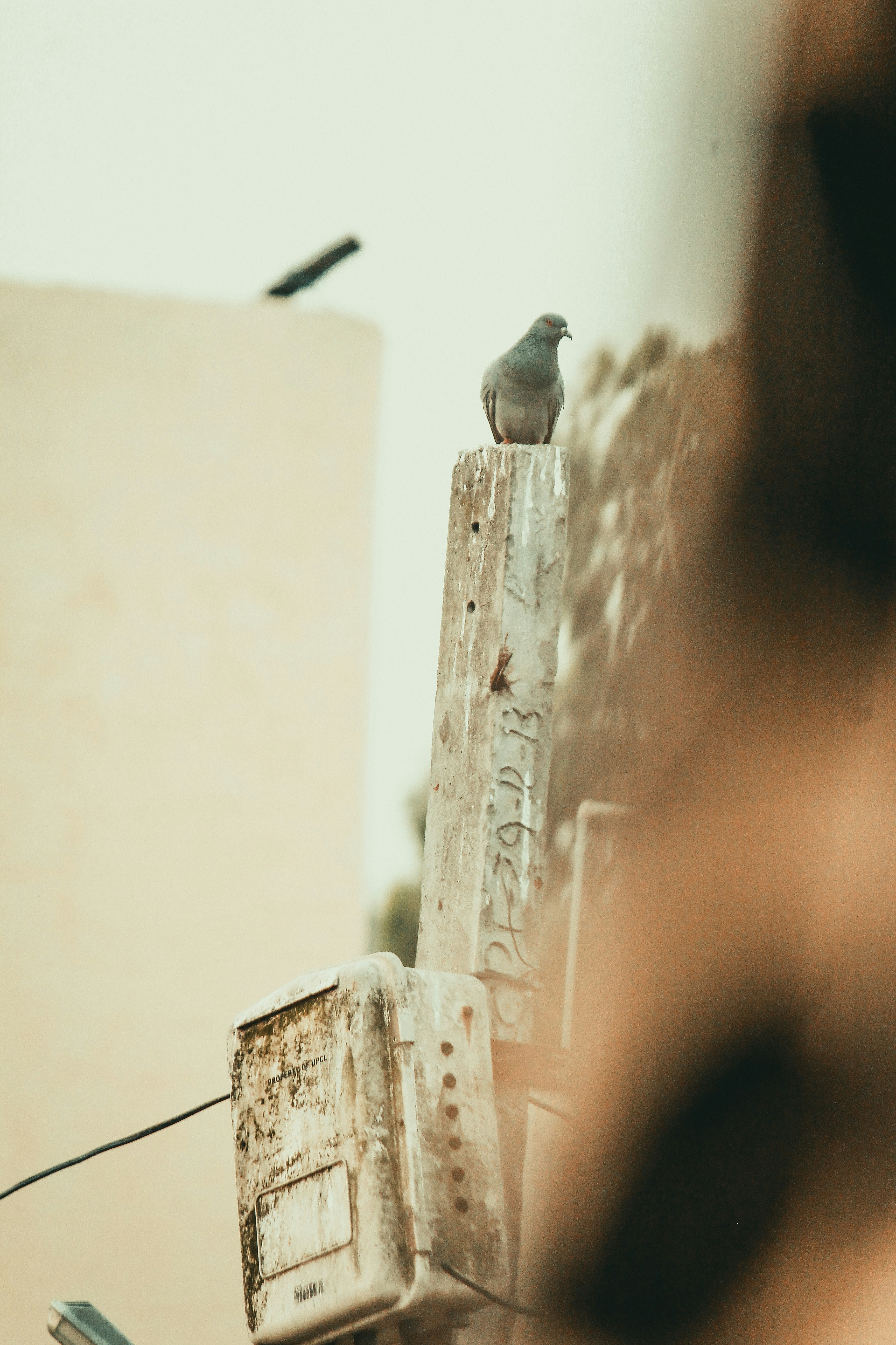 Photo by muhammad_shakir