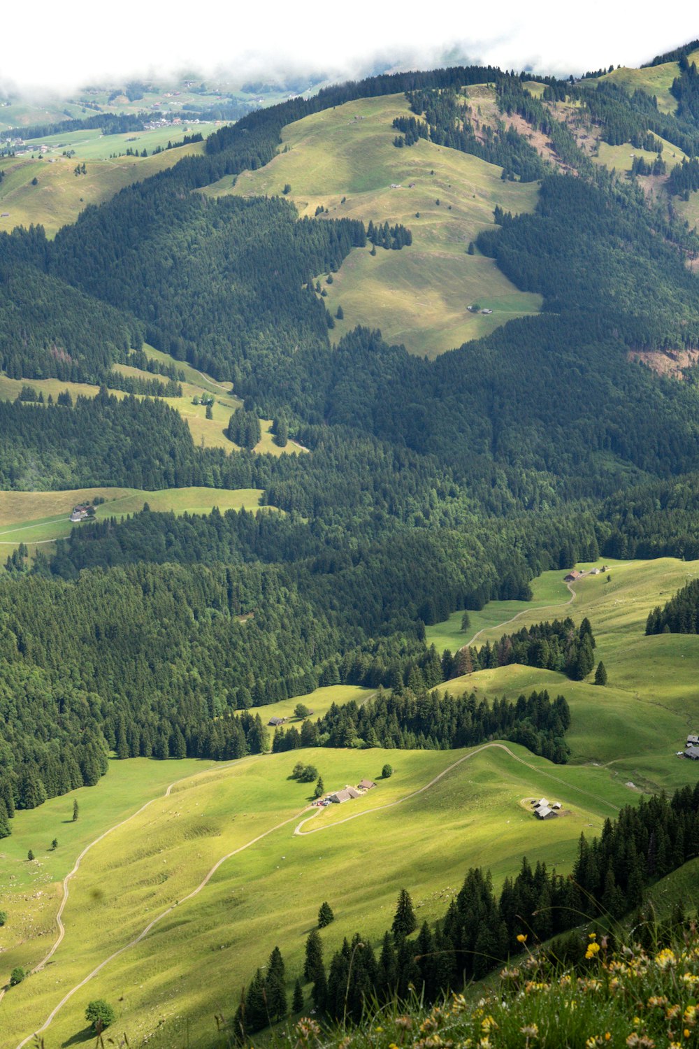 a view of a lush green valley surrounded by mountains