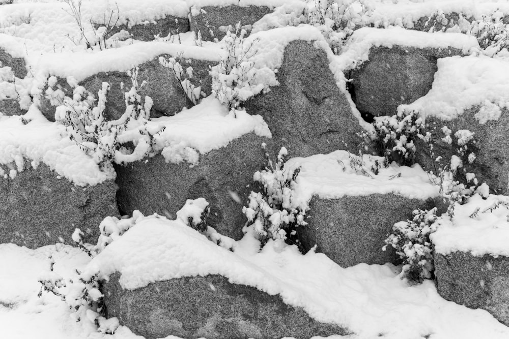 a black and white photo of snow covered rocks