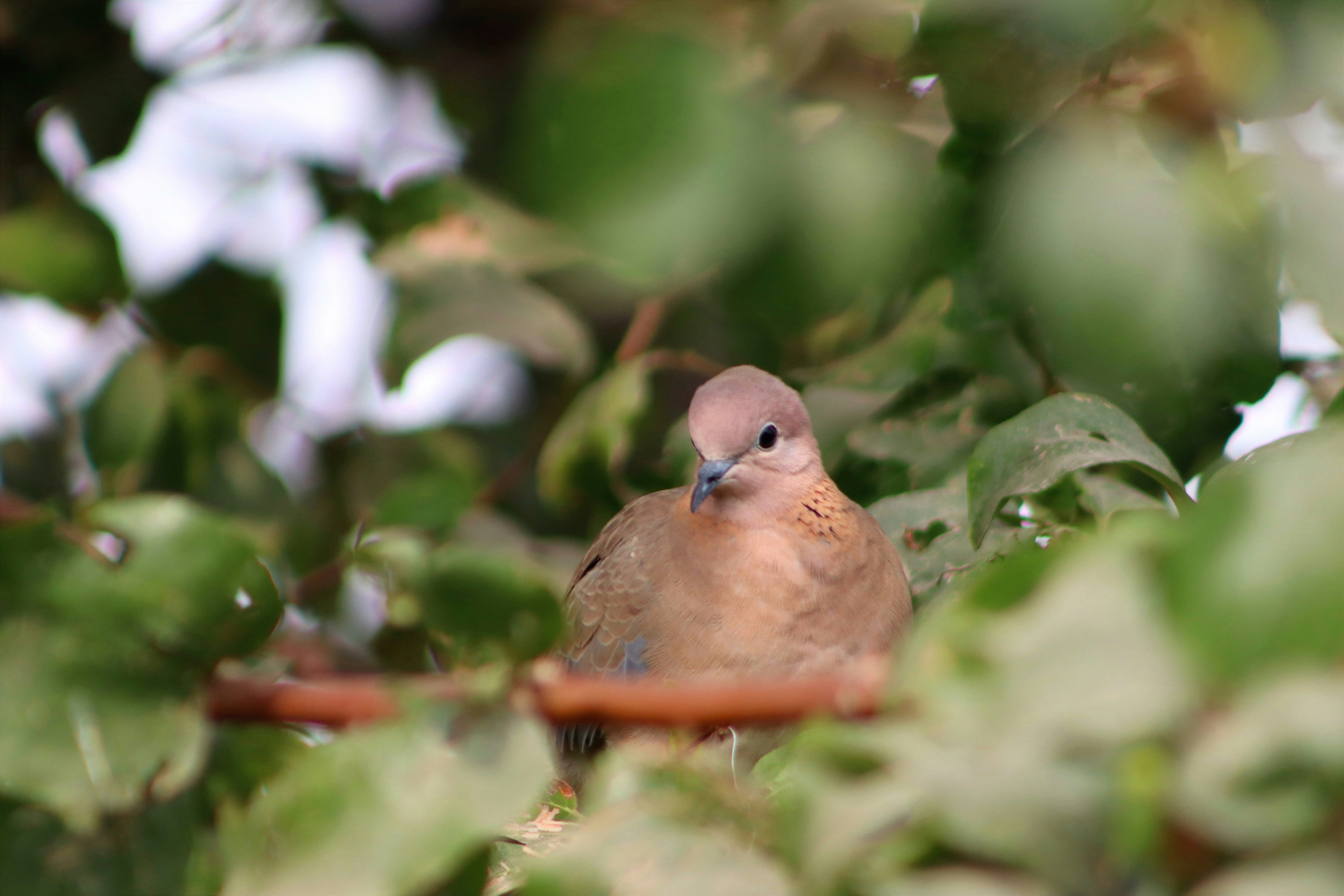 Photo by drphotographer152