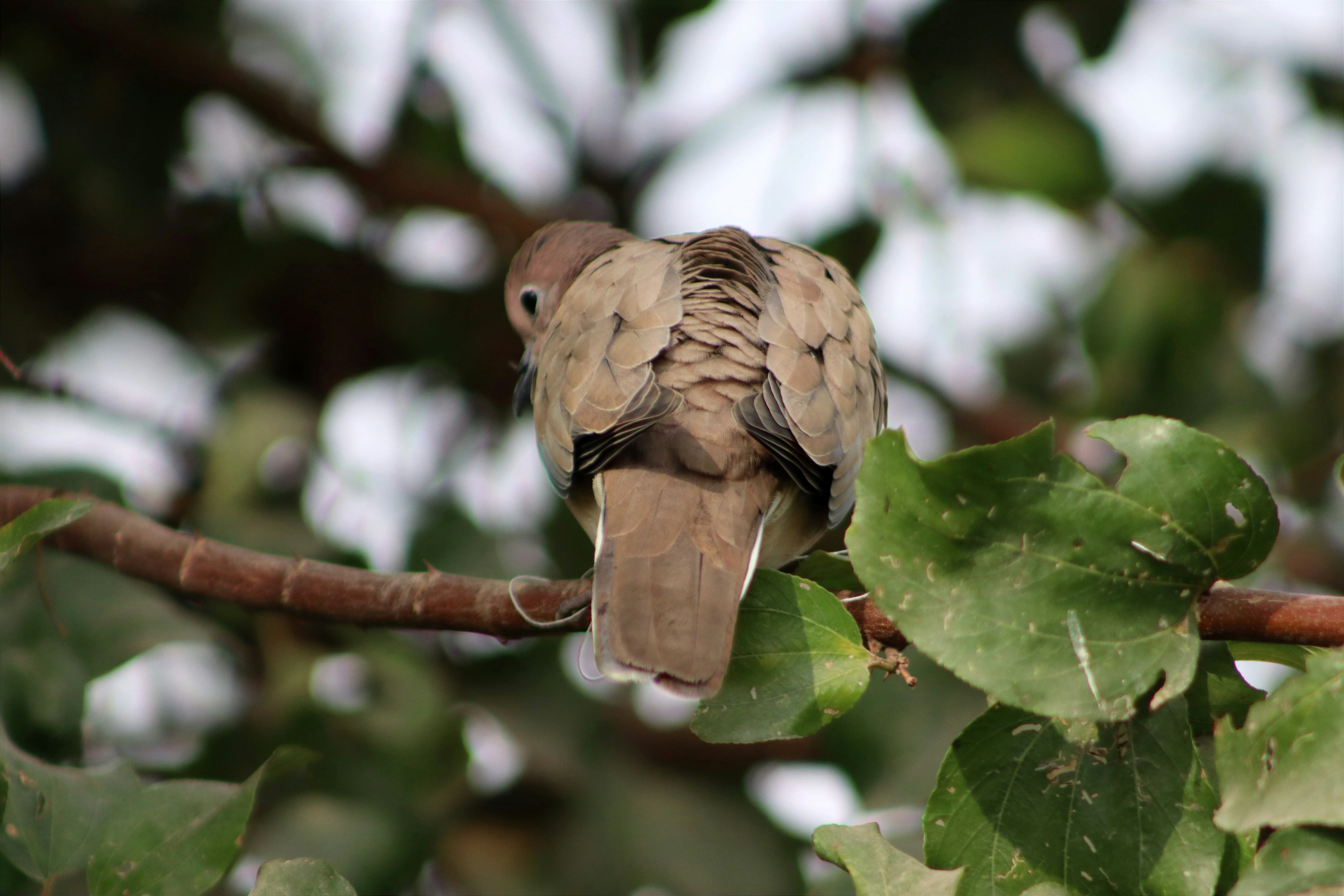 Photo by drphotographer152