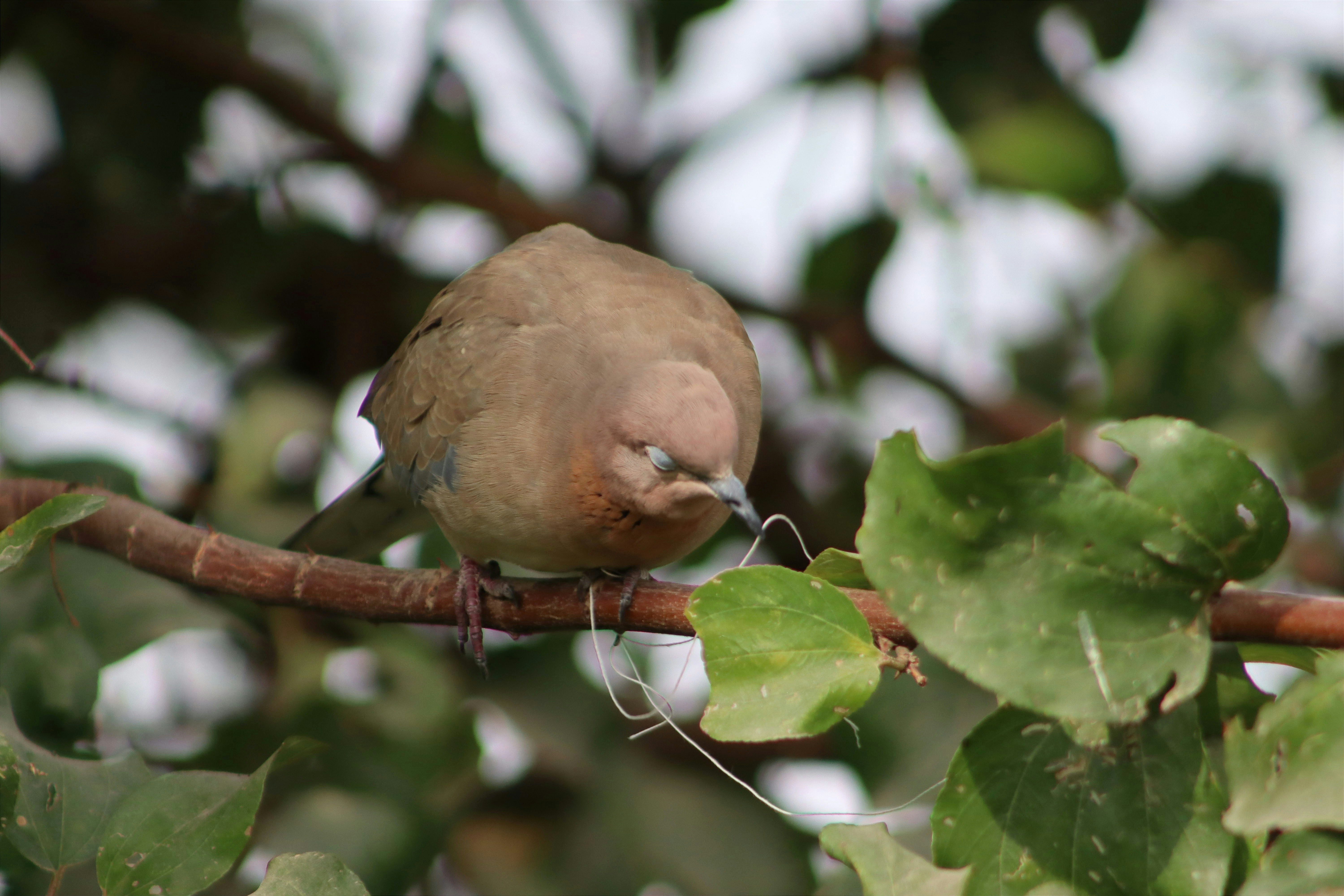 Photo by drphotographer152