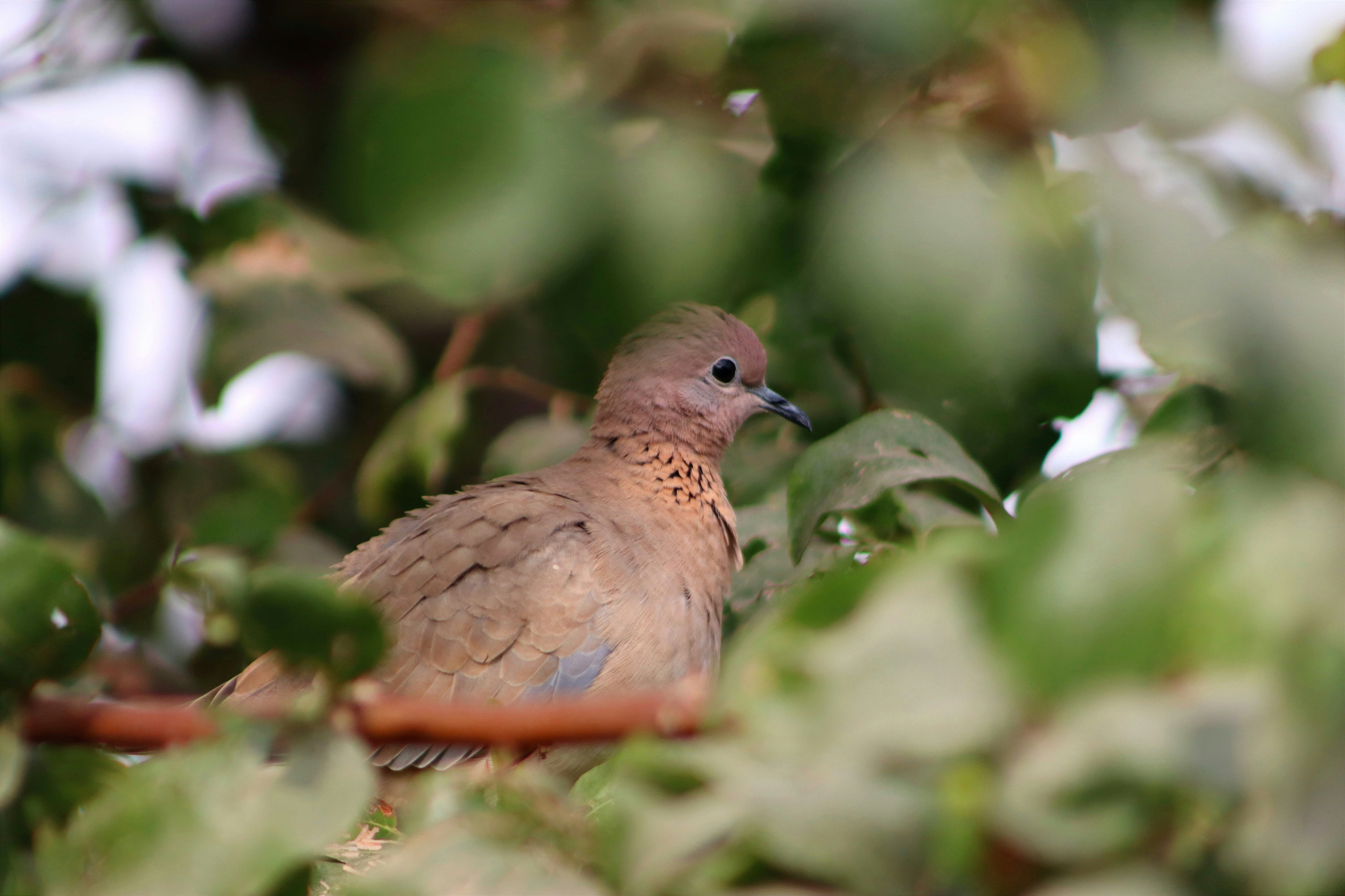 Photo by drphotographer152