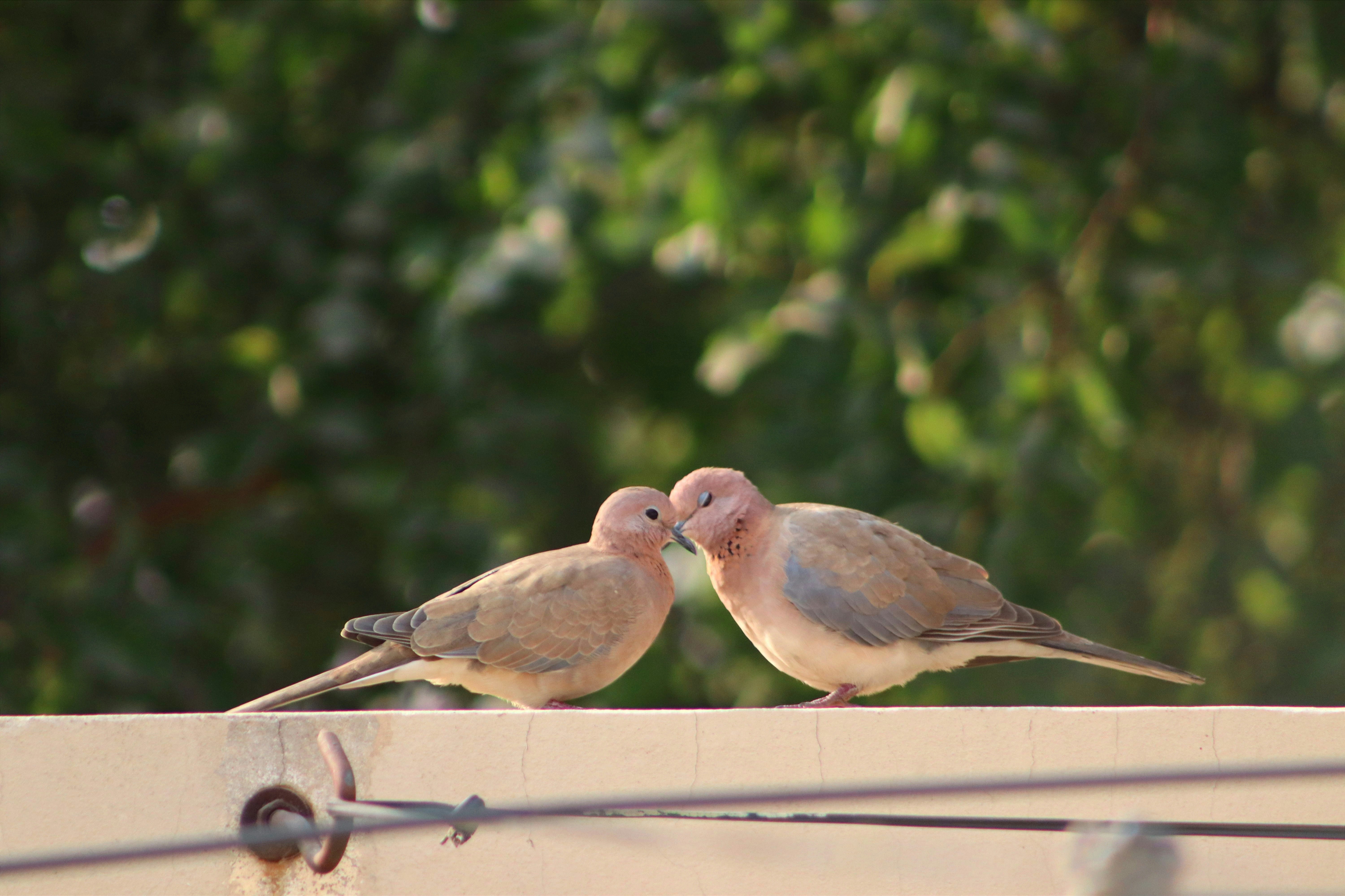 Photo by drphotographer152