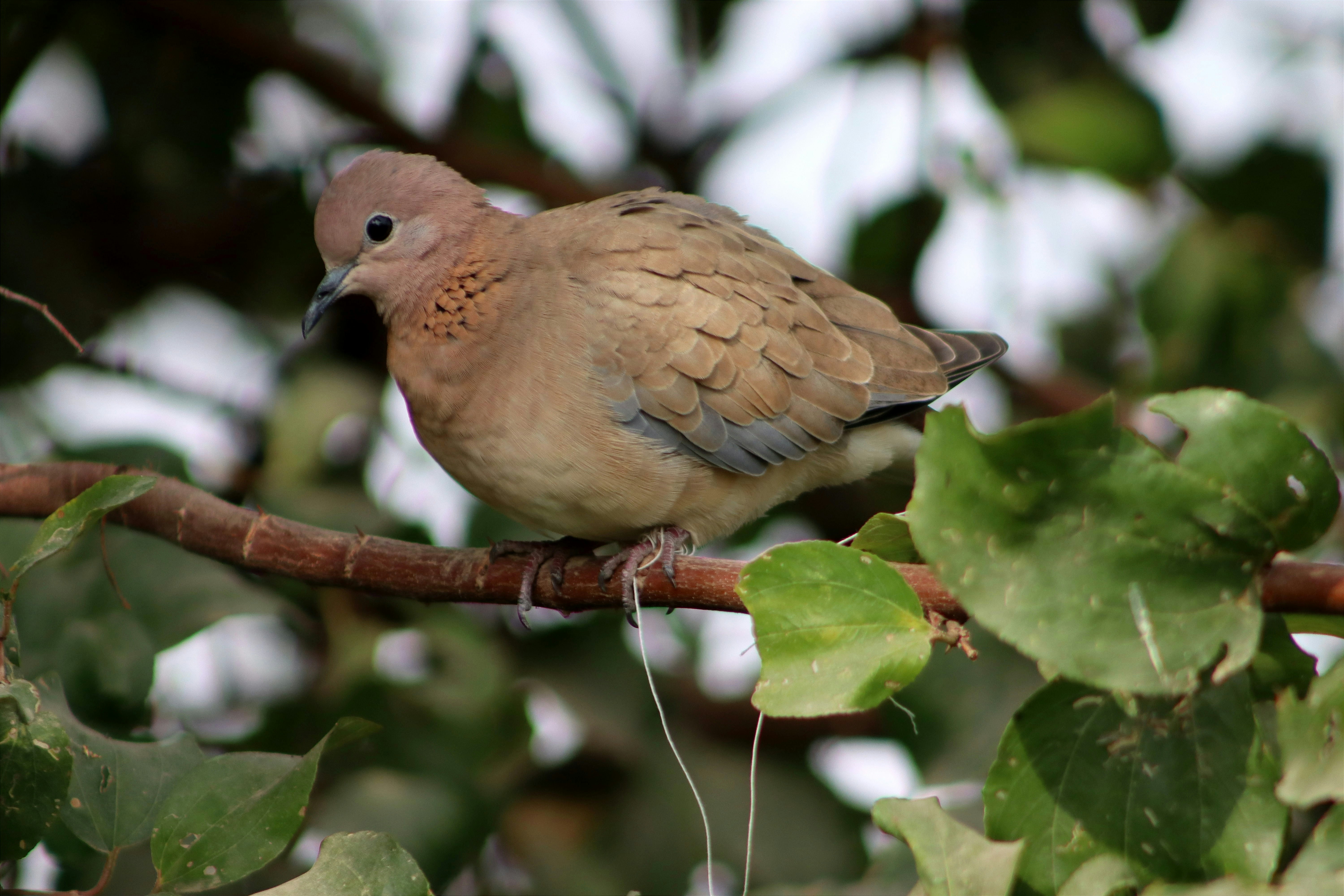 Photo by drphotographer152