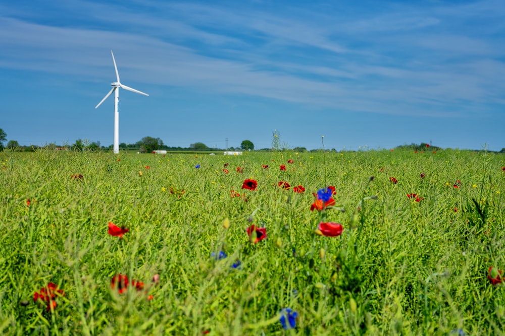 a field with a wind turbine in the background