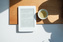 An assortment of traditional Chinese eBooks displayed on a digital device.