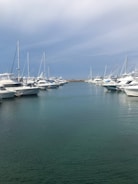 Sun Harbor Marina’s waterfront with boats lined up under a clear blue sky.