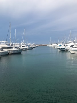 Sun Harbor Marina’s waterfront with boats lined up under a clear blue sky.