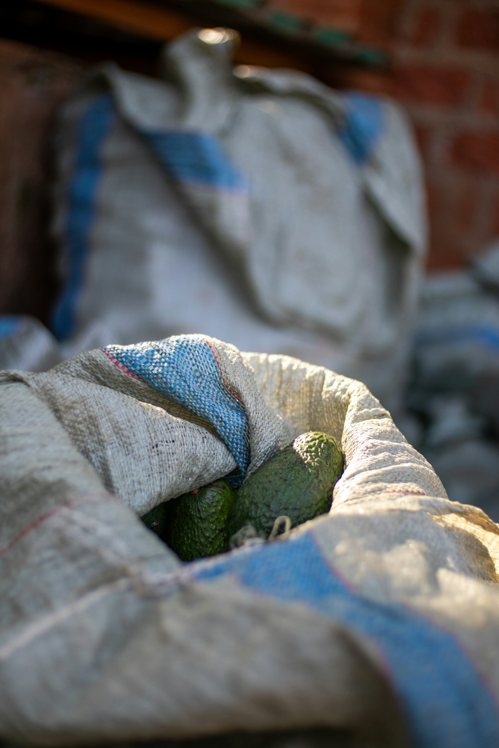 a close up of a stuffed animal in a bag