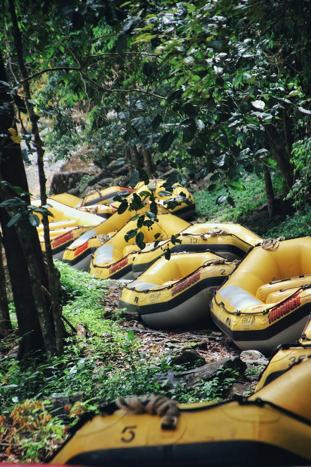Eine Reihe gelber Boote, die auf einem üppig grünen Wald sitzen