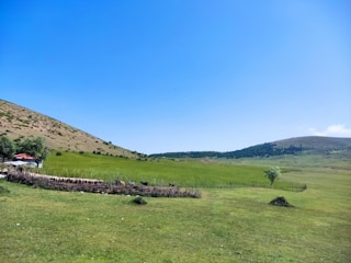 A serene landscape featuring a fenced area with various animals, likely livestock, and a small structure with a red roof situated on the left side surrounded by trees. Rolling green hills extend into the distance under a bright blue sky with minimal cloud cover.