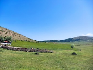 A serene landscape featuring a fenced area with various animals, likely livestock, and a small structure with a red roof situated on the left side surrounded by trees. Rolling green hills extend into the distance under a bright blue sky with minimal cloud cover.