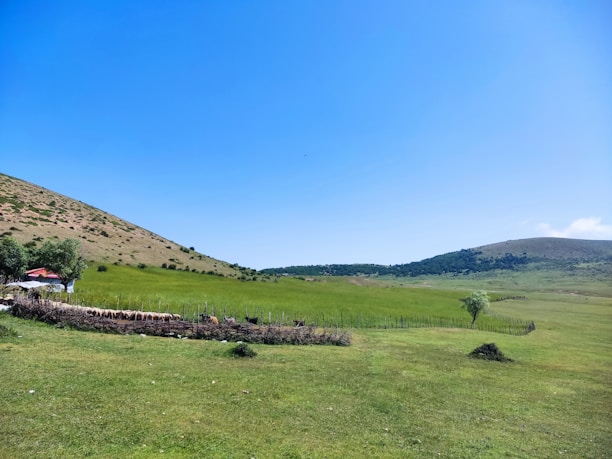 A serene landscape featuring a fenced area with various animals, likely livestock, and a small structure with a red roof situated on the left side surrounded by trees. Rolling green hills extend into the distance under a bright blue sky with minimal cloud cover.