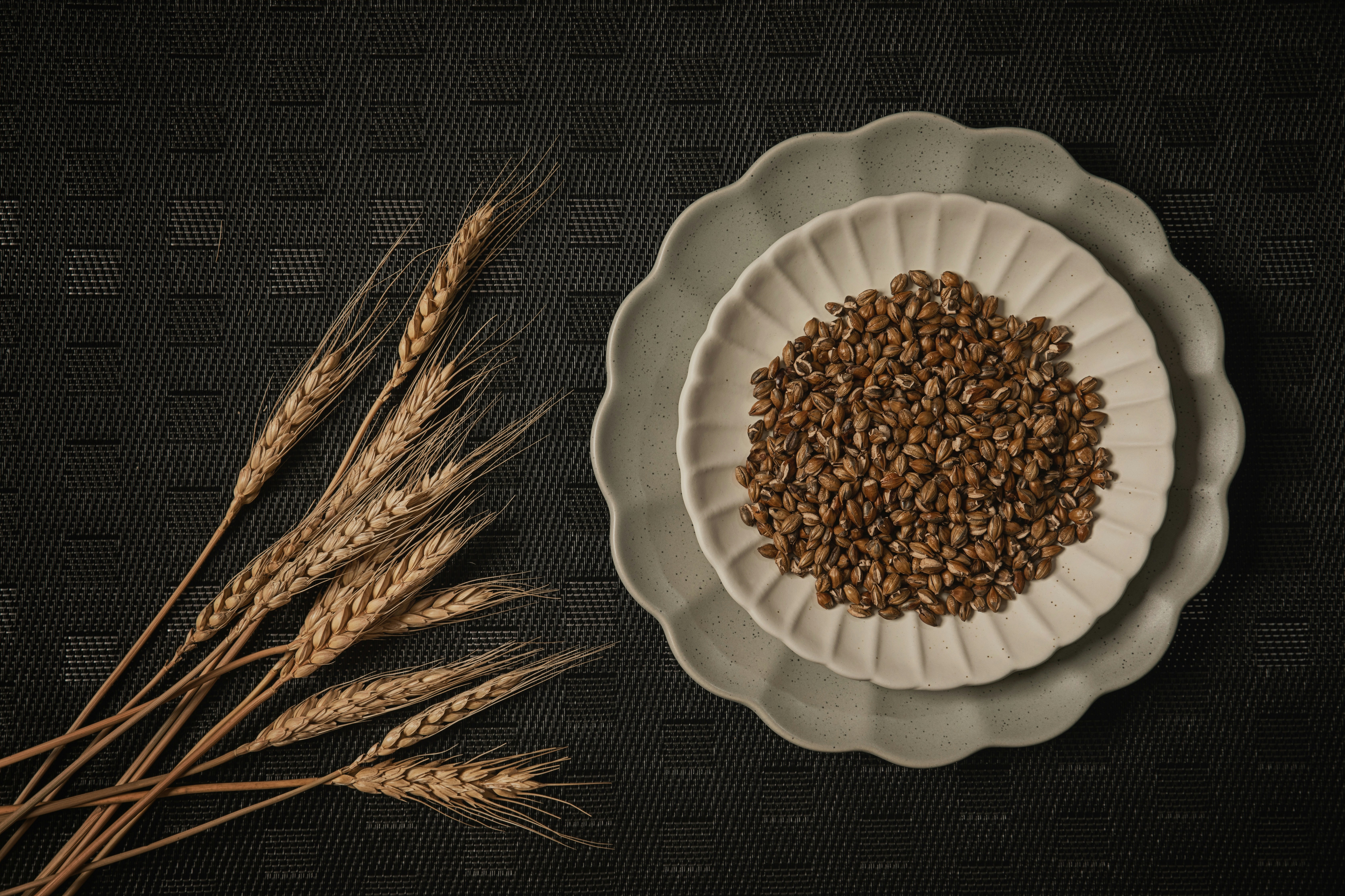 a white plate topped with a pile of brown grains