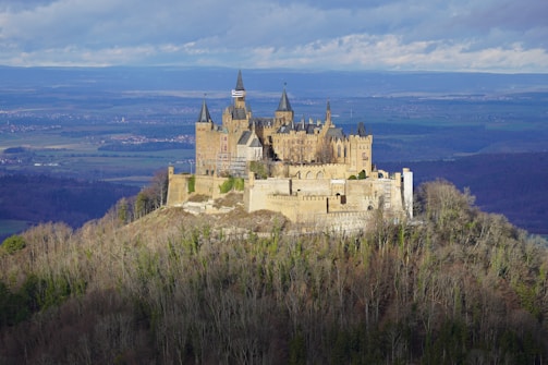 A majestic castle sits atop a lush, green hill surrounded by a dense woodland. The structure features numerous spires and turrets, with a mix of light and darker stones. In the background, a vast, flat landscape stretches out to a distant horizon under a cloudy sky.