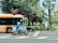 A motorcyclist wearing a white helmet and blue uniform rides a police motorcycle in front of an orange and cream city bus. The scene is set in an urban area with lush green trees and foliage in the background. A black car is partially visible behind the bus. The pavement is marked with white road crossing lines.