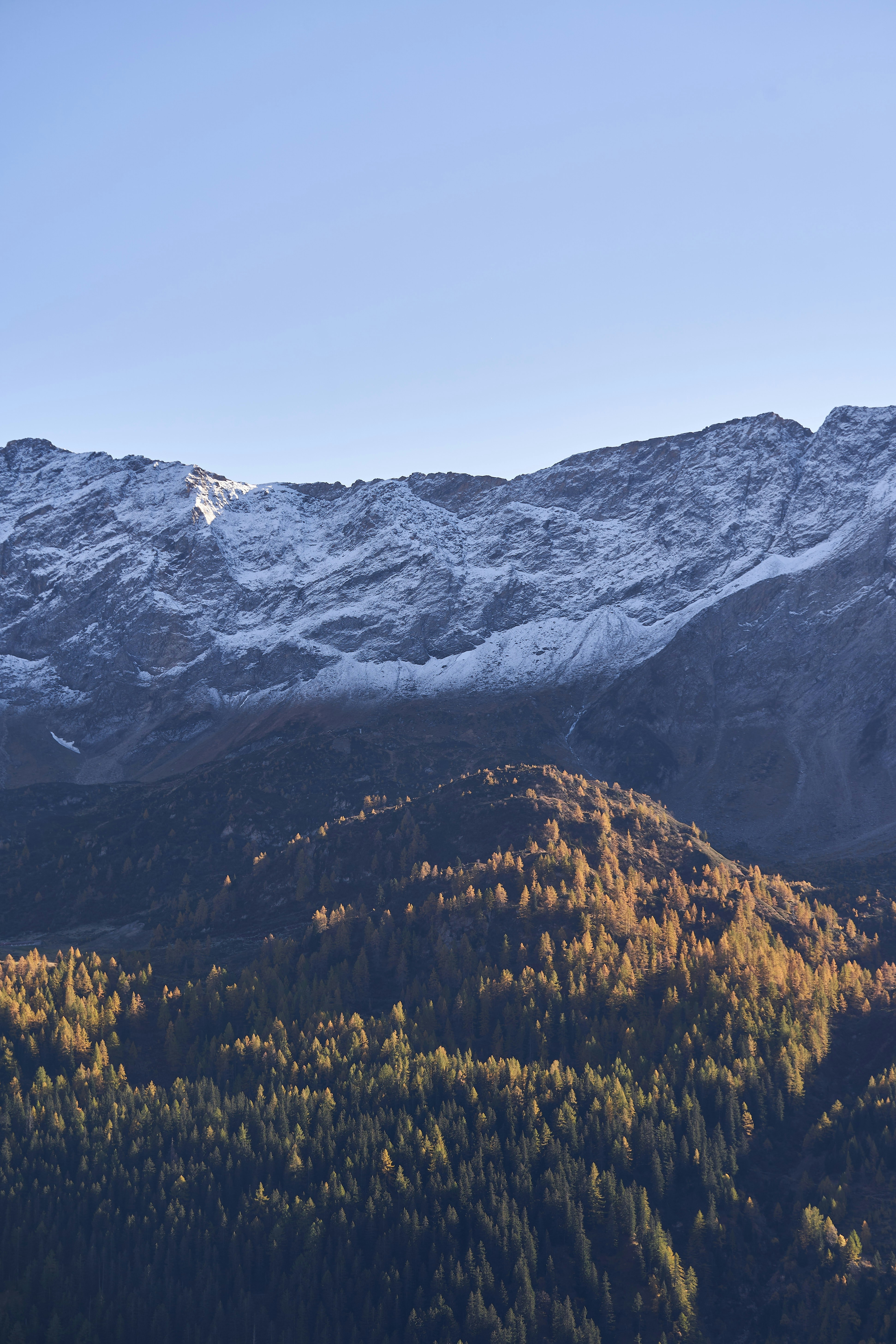 Photo by wolfgang_hasselmann