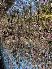 A vibrant display of artificial grass and plants showcasing the variety offered by Manav Greens.