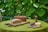 A rustic outdoor setting features a table with a green tablecloth, adorned with loaves of freshly baked bread on wooden boards. Slices of cheese and cured sausage are placed nearby, accompanied by a knife, two small radishes, and a wooden pepper mill. The background is lush with large green leaves.
