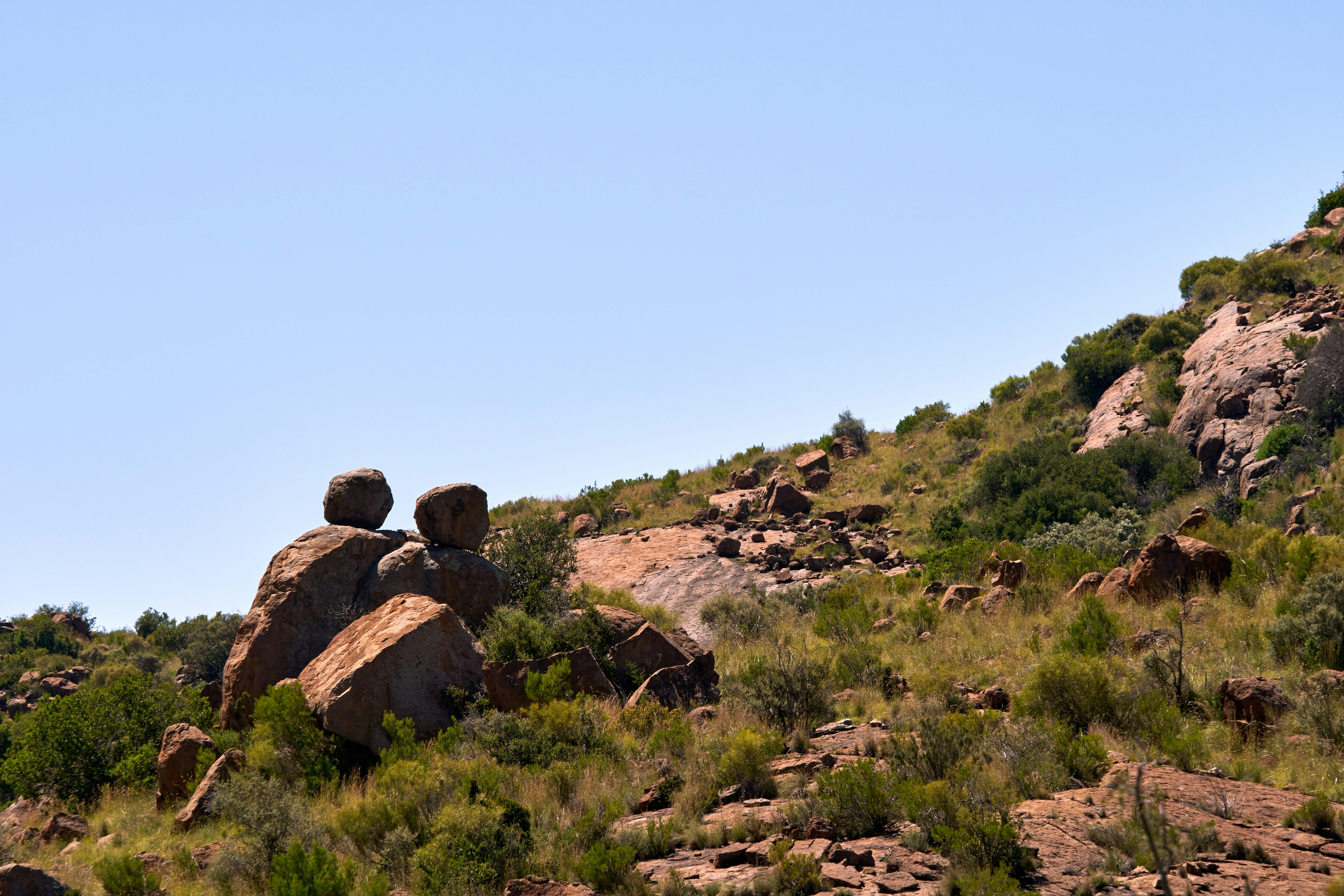 Photo by wolfgang_hasselmann