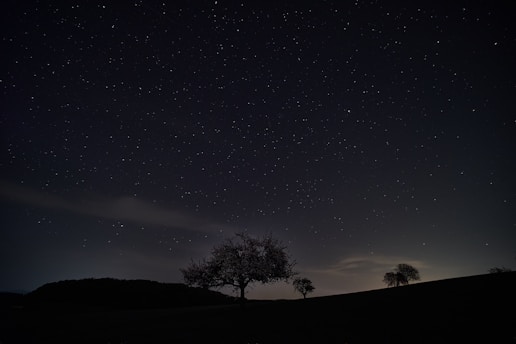 A serene landscape with a clear night sky filled with stars and a silhouette of trees in the foreground.