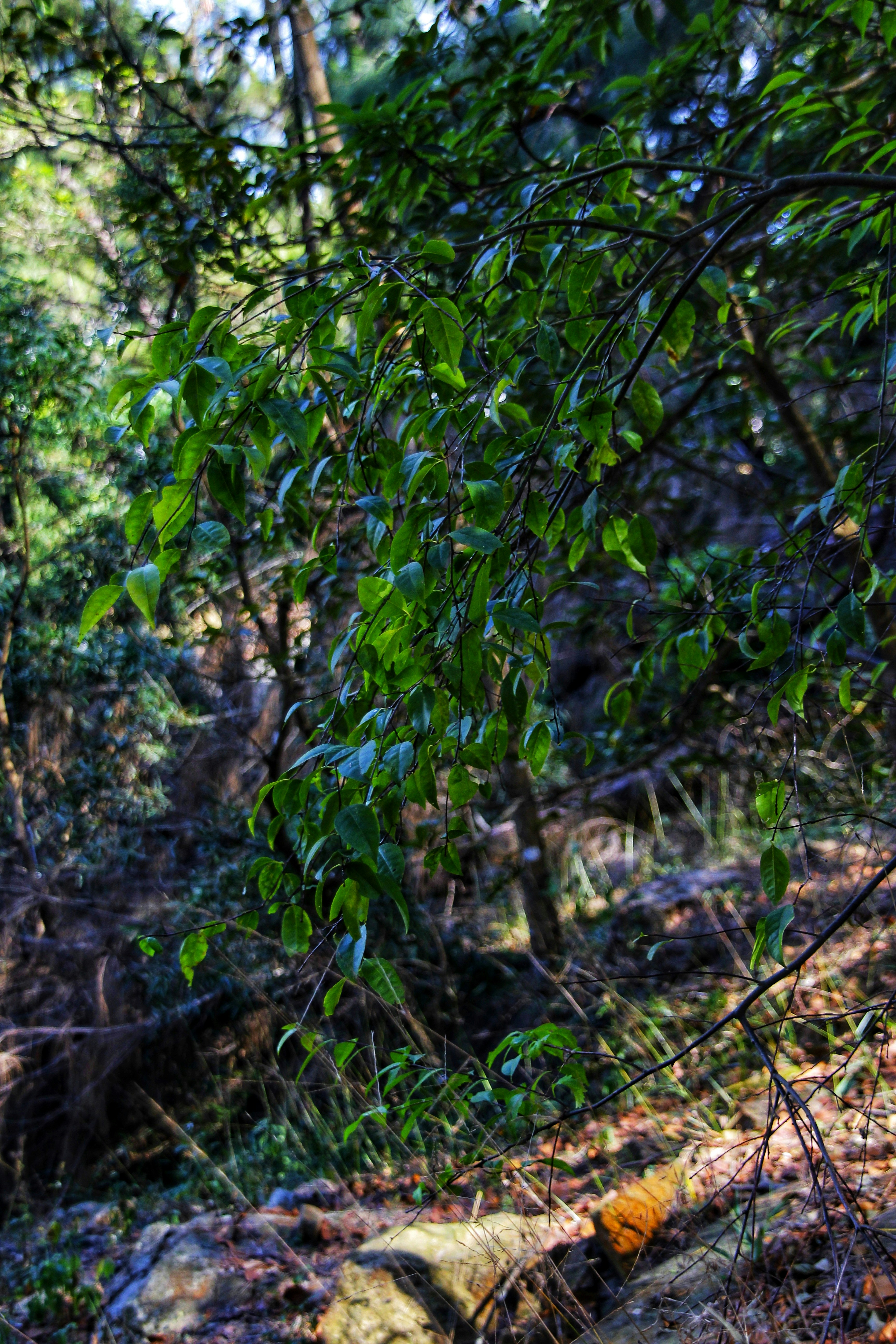 Photo by babylynsantos78