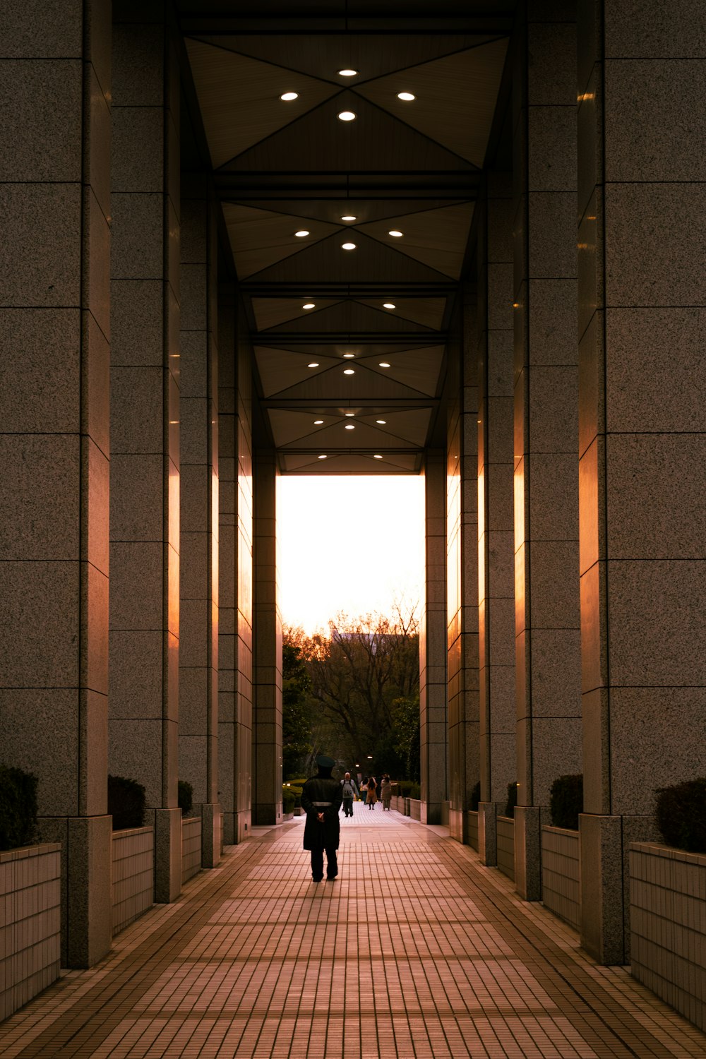 a person walking down a walkway with an umbrella