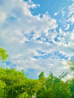 A scenic view of Tlalpan’s natural surroundings with soft blue skies.