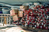 a pile of red fire hydrants sitting next to each other