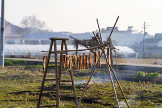Large-scale food dehydrator in action with racks of meat jerky drying under controlled conditions.